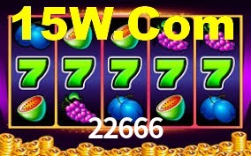 22666.com