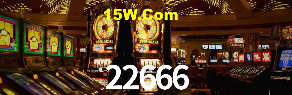 22666.com
